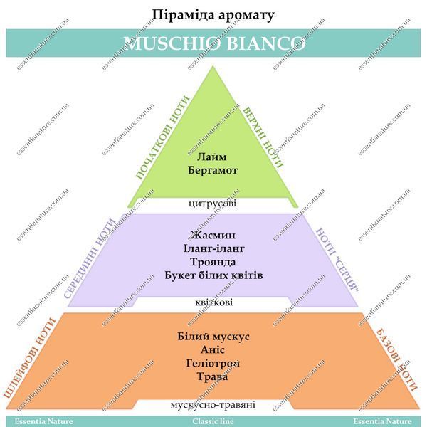 Арома-саше ТМ Essentia Nature "Muschio bianco" 22019 фото